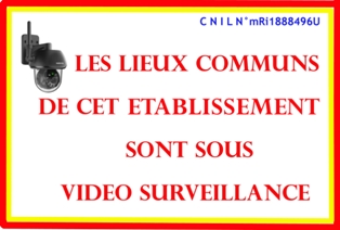 Logo video surveillance 1